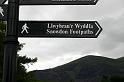 Wales (185)